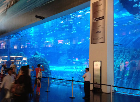 Acquario nella Dubai Mall